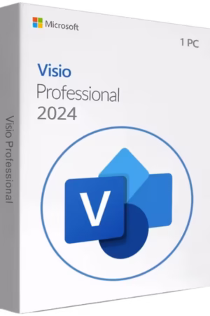 Microsoft Visio Professional 2024